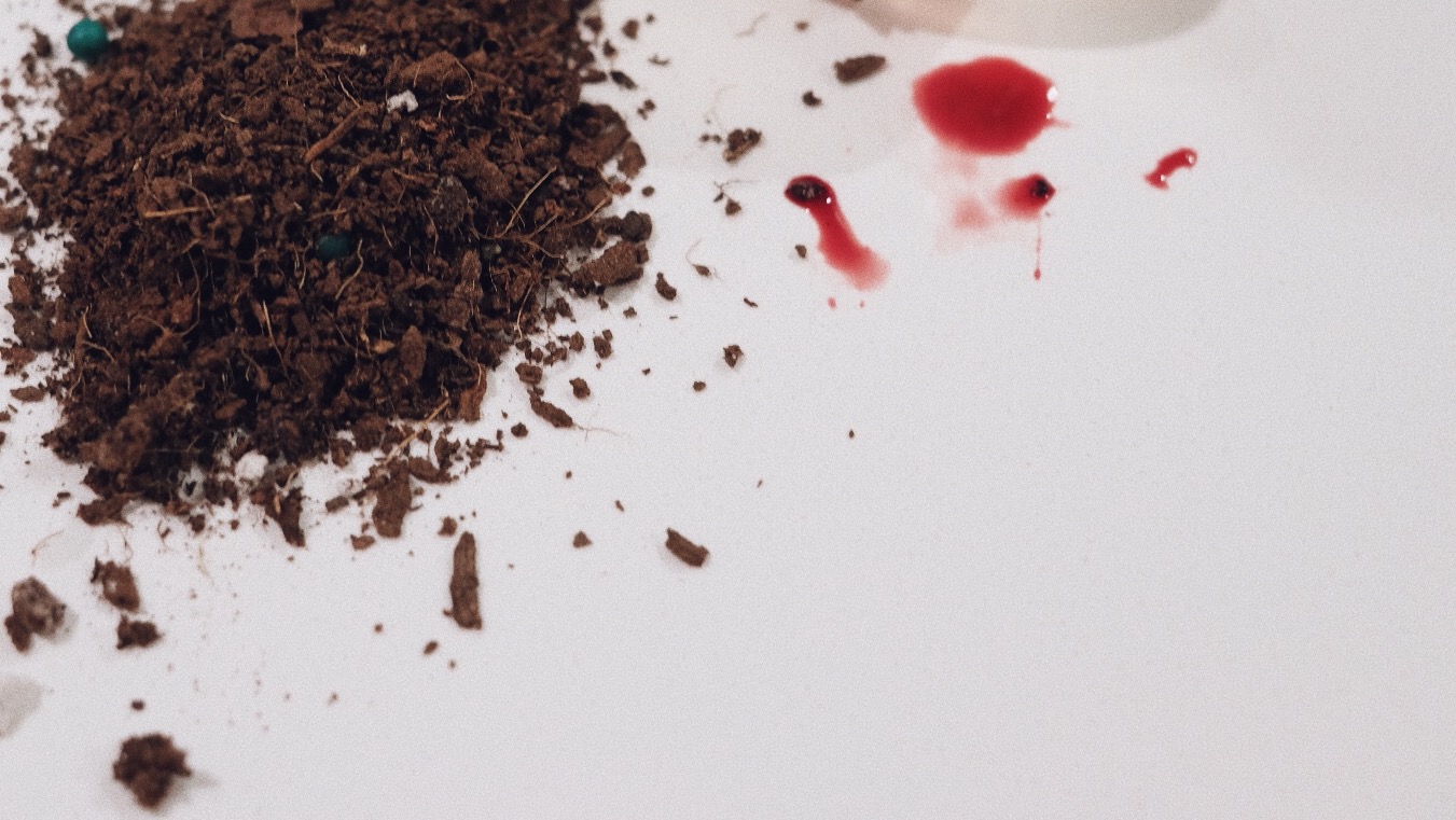 I Started Watering My Plants with My Menstrual Blood