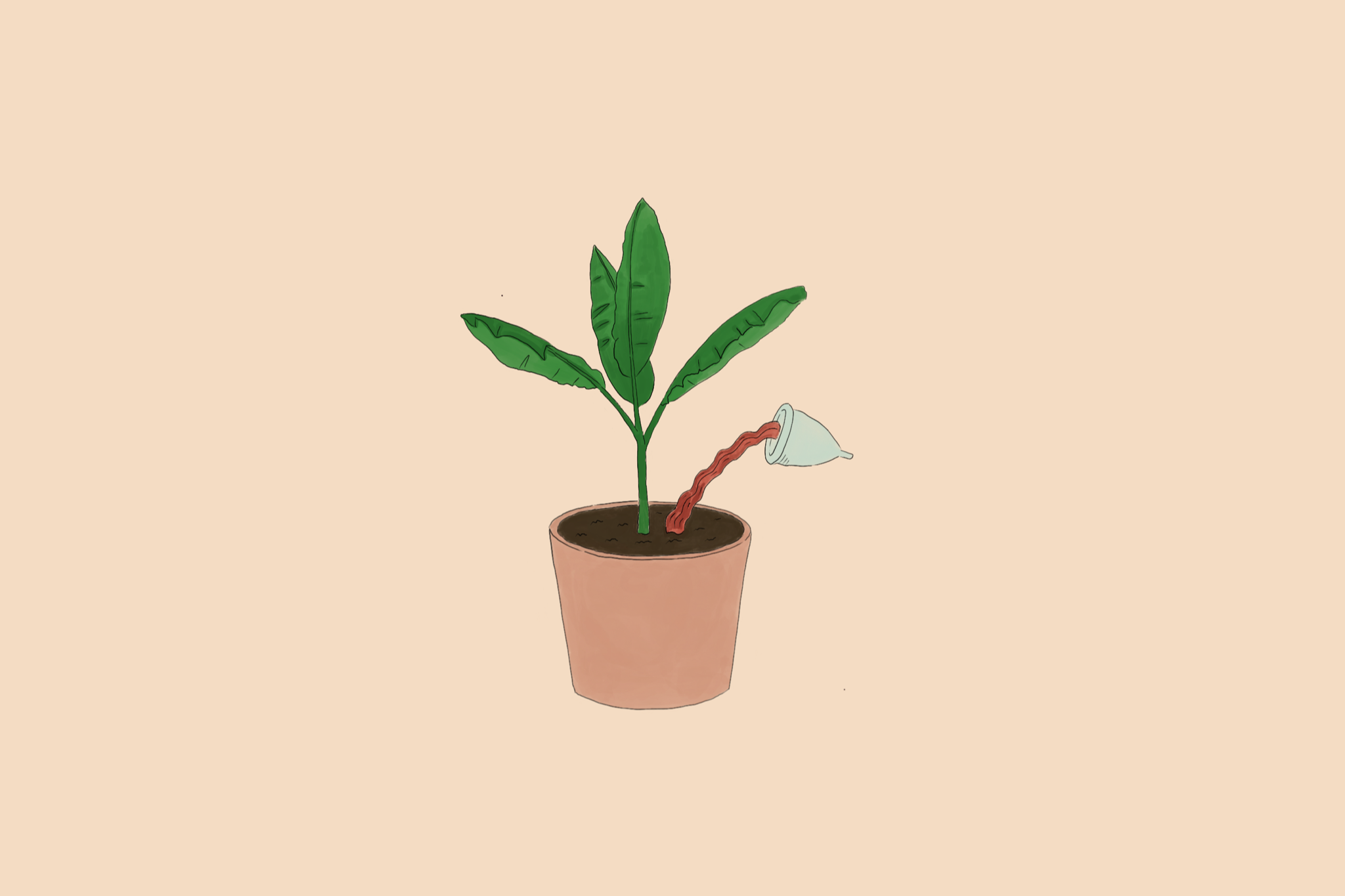I Started Watering My Plants with My Menstrual Blood